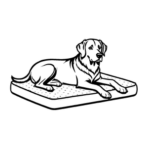 Magische Hundekörbchen-Ausmalvorlage zum Basteln und Malen