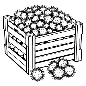 Faszinierender Rambutan in rustikalem Holzkasten Ausmalvorlage für neugierige Fruchtforscher