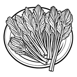Prächtiger Fenchel auf eleganter Servierplatte Ausmalmotiv für junge Gartenkünstler