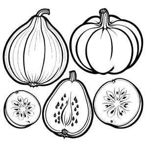 Schmackhafte Chayote im fruchtigen Arrangement Ausmalvorlage für junge Obstentdecker