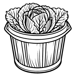 Kreativer Rotkohl im weißen Eimer Malvorlage für neugierige kleine Gärtner