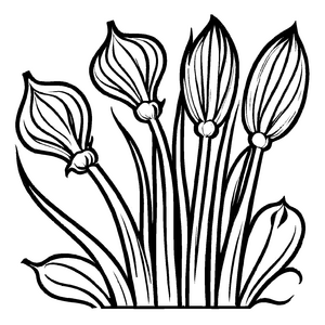 Beeindruckende Frühlingszwiebeln in stylischem Design Ausmalvorlage für fantasievolle Künstler