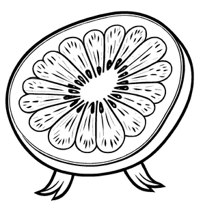 Kreative Kiwi mit vielen lustigen Kernen Ausmalbild für kleine Obstkünstler