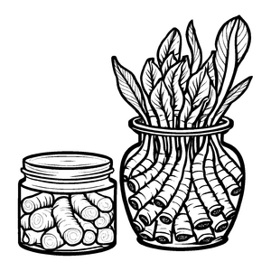 Schmackhafte Pickles im coolen Glastopf und Galgant Ausmalvorlage für kleine Küchenzauberer