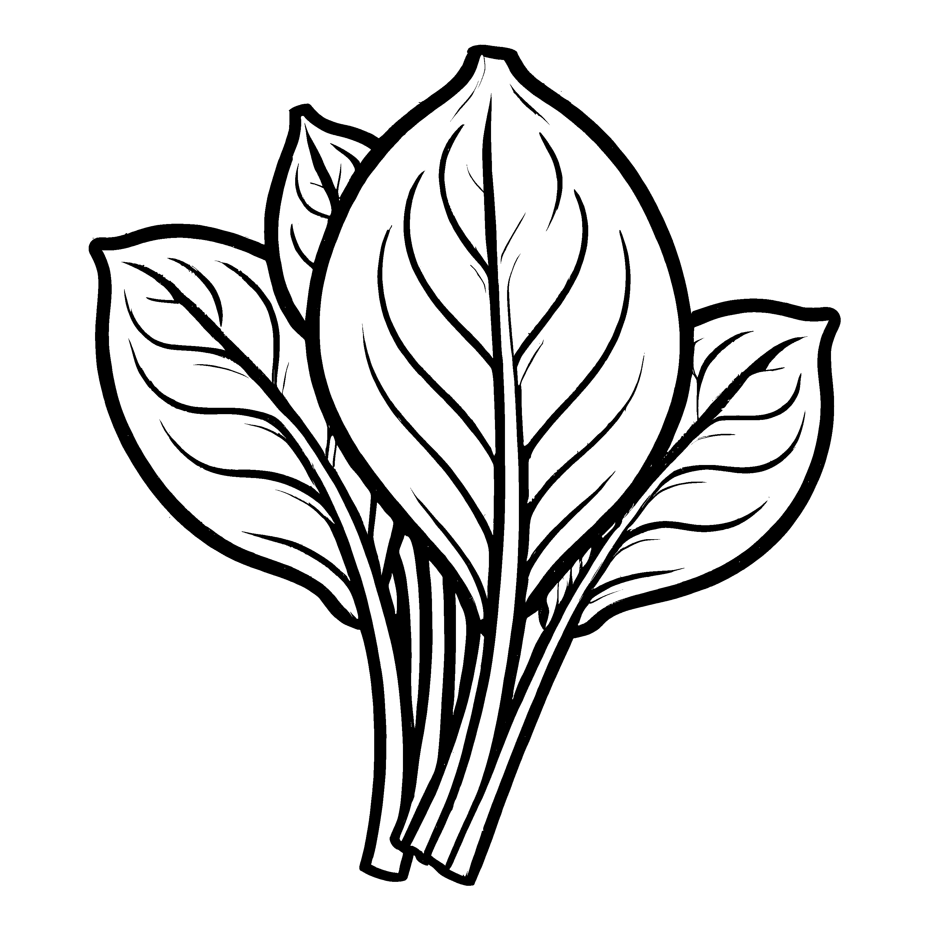 Faszinierendes Spinatblatt mit einzigartiger Form Ausmalmotiv für fantasievolle Naturforscher