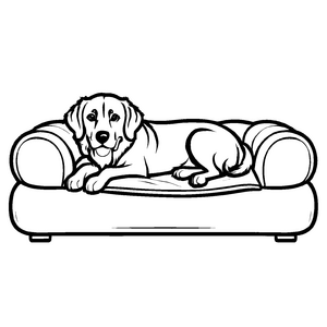 Detailreiches Hundekörbchen-Ausmalbild zum kreativen Gestalten