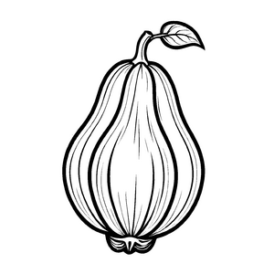 Einzigartige Chayote mit dekorativen Blättern Malvorlage für grüne Daumen und kreative Köche