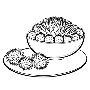 Lebendige Rambutan-Früchte in eleganter Schale Ausmalmotiv für aufstrebende Kunsttalente