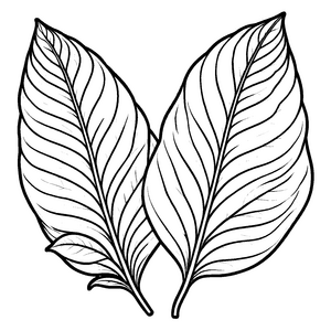 Beeindruckende Amaranth-Blätter mit feinen Adern Ausmalbild für fantasievolle Naturfreunde