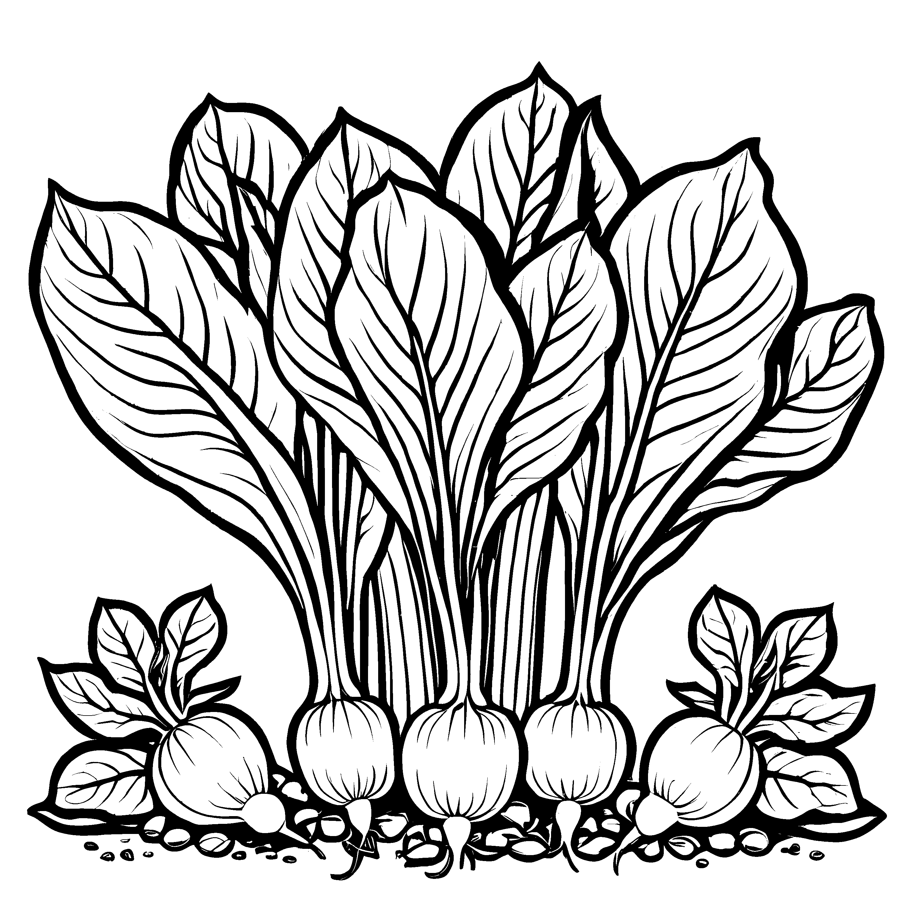 Sechs frische Radieschen im Erdreich Ausmalbild für kreative Gartenfreunde