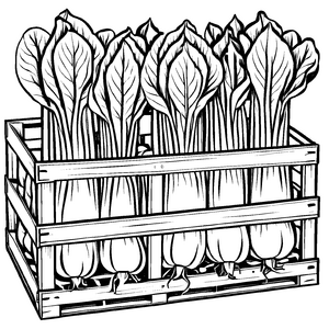 Kreativer Pak Choi in rustikalem Holzkasten Ausmalmotiv für kleine Gemüseliebhaber