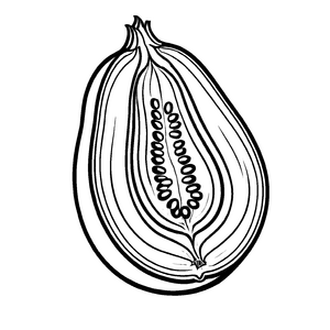 Faszinierende Aubergine mit spannenden Schnittflächen Malvorlage für neugierige Gemüseliebhaber