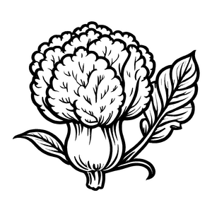 Kreativer Blumenkohl mit großen Blättern Ausmalmotiv für fantasievolle Gärtner