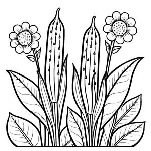 Bezaubernde Okrapflanze mit zarten Blüten Ausmalvorlage für kleine Naturforscher