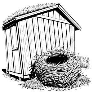 Fascinierendes Vogelnest mit goldenen Halmen Ausmalvorlage für kleine Entdecker auf Naturreise