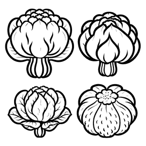 Vielfältiger Blumenkohl in verschiedenen Designs Ausmalvorlage für kleine Kunstschaffende