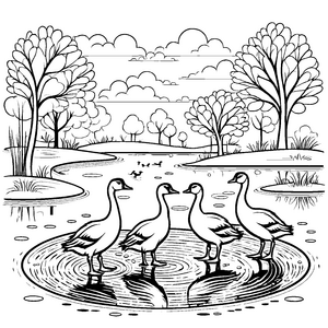 Drei neugierige Gänse am ruhigen Teich Ausmalmotiv für kreative Wasserfreunde