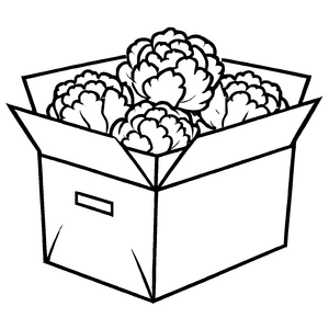 Kreativer Blumenkohl in bunter Kiste Malvorlage für kleine Gemüseentdecker