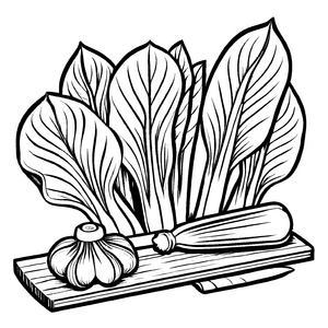 Frischer Pak Choi auf rustikalem Holzbrett Ausmalbild für junge Küchenzauberer