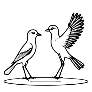 Zwei schüchterne Vögel mit ausgebreiteten Flügeln Ausmalvorlage für neugierige Naturforscher