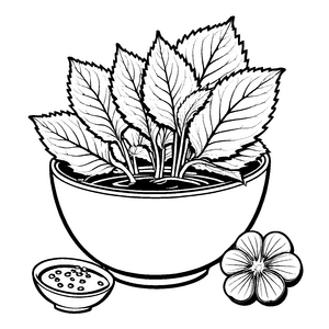 Bezaubernde Shiso-Blätter in stilvoller Schale Ausmalmotiv für kleine Künstler und botanische Entdecker