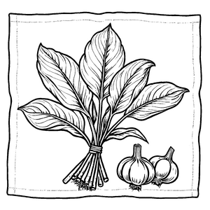 Faszinierendes Amaranth-Blatt mit schmackhaften Knoblauch-Knollen Malvorlage für neugierige Pflanzenliebhaber