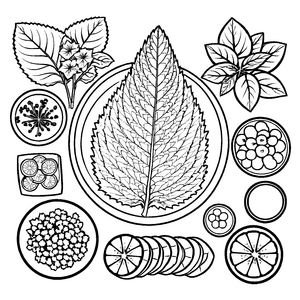 Faszinierende Shiso-Blätter umgeben von kreativen Formen Ausmalmotiv für kleine Künstler und neugierige Gartenschäfchen