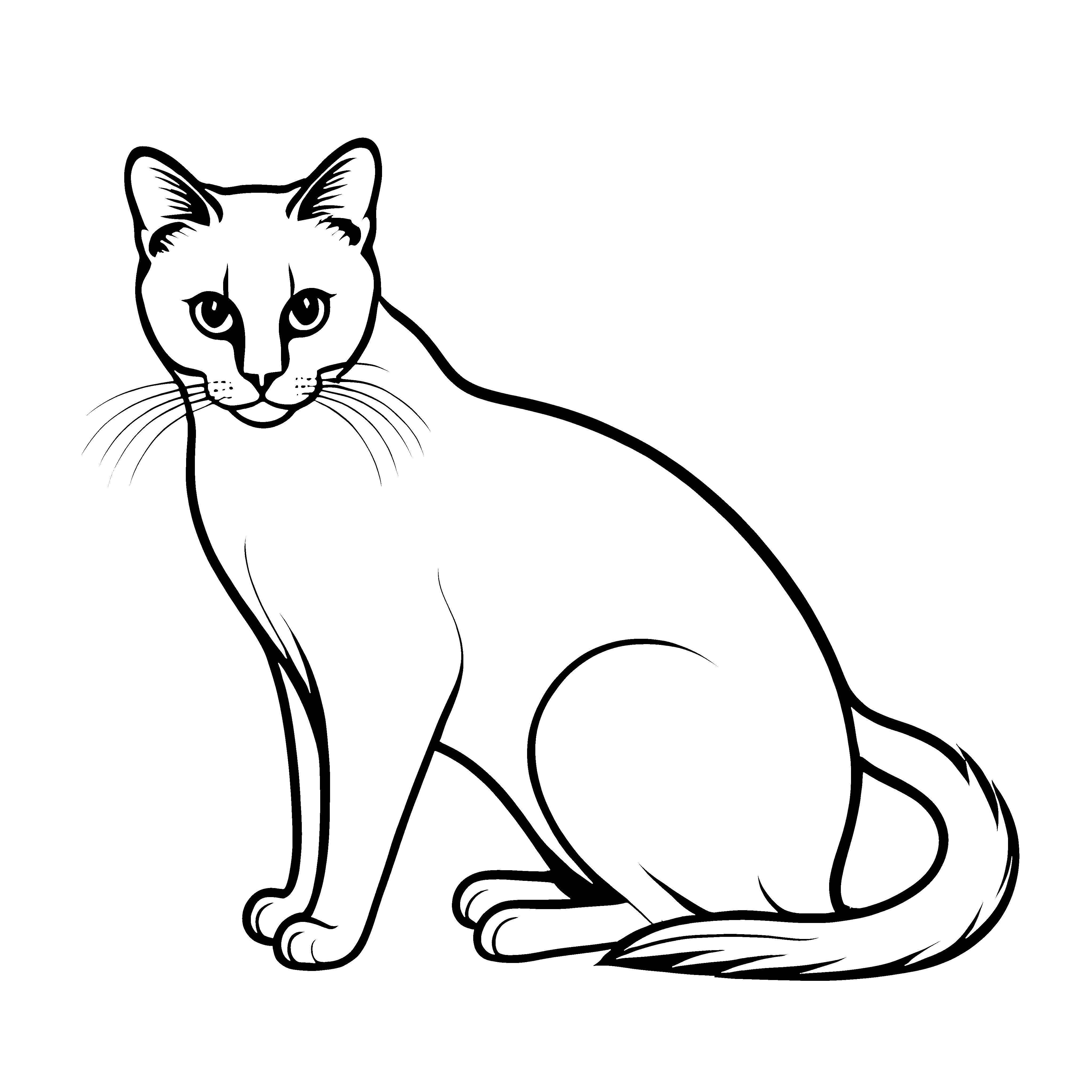 Süße Siamkatze mit auffälligen Augen Ausmalbild für kreative Entdecker mit Herz