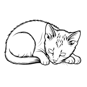 Schlafende Schmusekatze auf weichem Untergrund Ausmalbild für träumende Entdecker