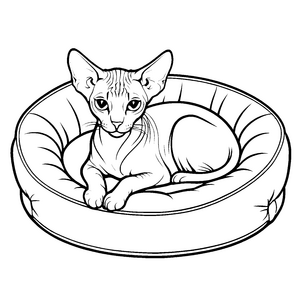 Elegante Sphynx Katze auf gemütlichem Hundebett Malvorlage für fantasievolle Tierliebhaber