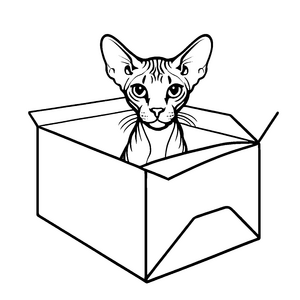 Verspannte Sphynx Katze in kühler Pappbox Ausmalbild für kleine Entdecker mit großen Ideen