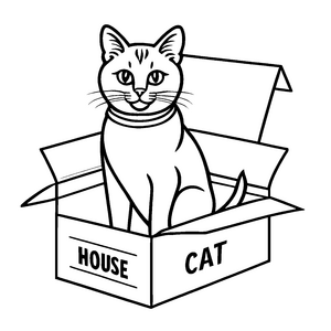 Charmante Katze in schicker Box Malvorlage für fantasievolle Tierfreunde