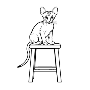 Neugierige Sphynx Katze auf bequemem Hocker Ausmalmotiv für kleine Abenteurer mit großen Träumen