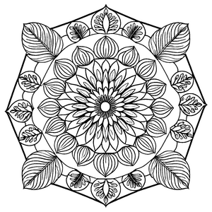Wundervoll detailreiches Mandala mit Blumenmotiv Ausmalbild für fantasievolle Farbschöpfer und neugierige Entdecker