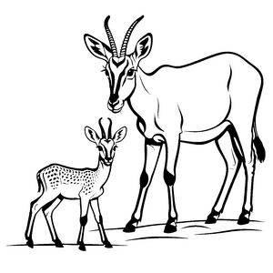 Elegante Gazelle mit ihrem süßen Kälbchen Ausmalmotiv für fantasievolle Entdecker
