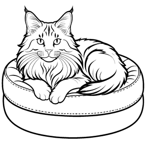 Flauschige schwarz-weiße Maine Coon Katze auf rundem Kissen Ausmalmotiv für entspannte Tierfreunde