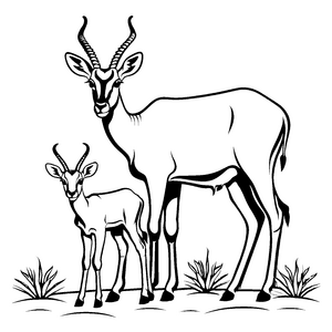 Bezaubernde Gazelle mit ihrem kleinen Kind Ausmalvorlage für fantasievolle Tierliebhaber auf Entdeckungsreise