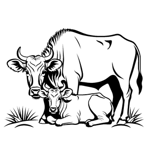 Gemütliche Gnu-Mama mit ihrem süßen Kalb Ausmalvorlage für kleine Tierforscher