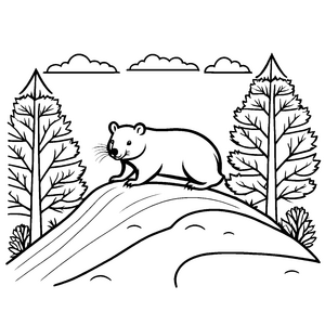 Flauschiger Wombat auf sanfter Anhöhe Ausmalbild für neugierige Entdeckerinnen und Entdecker