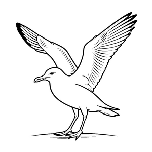 Bezaubernde Möwe mit weit ausgebreiteten Flügeln Ausmalmotiv für fantasievolle Luftakrobaten