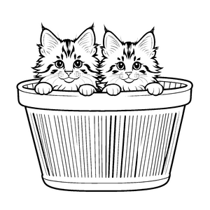 Zwei niedliche Maine Coon Kätzchen in einem Topf Ausmalbild für neugierige Pfotenentdecker