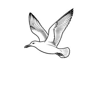 Elegante Möwe im Flug über dem Meer Ausmalvorlage für neugierige Wolkenliebhaber