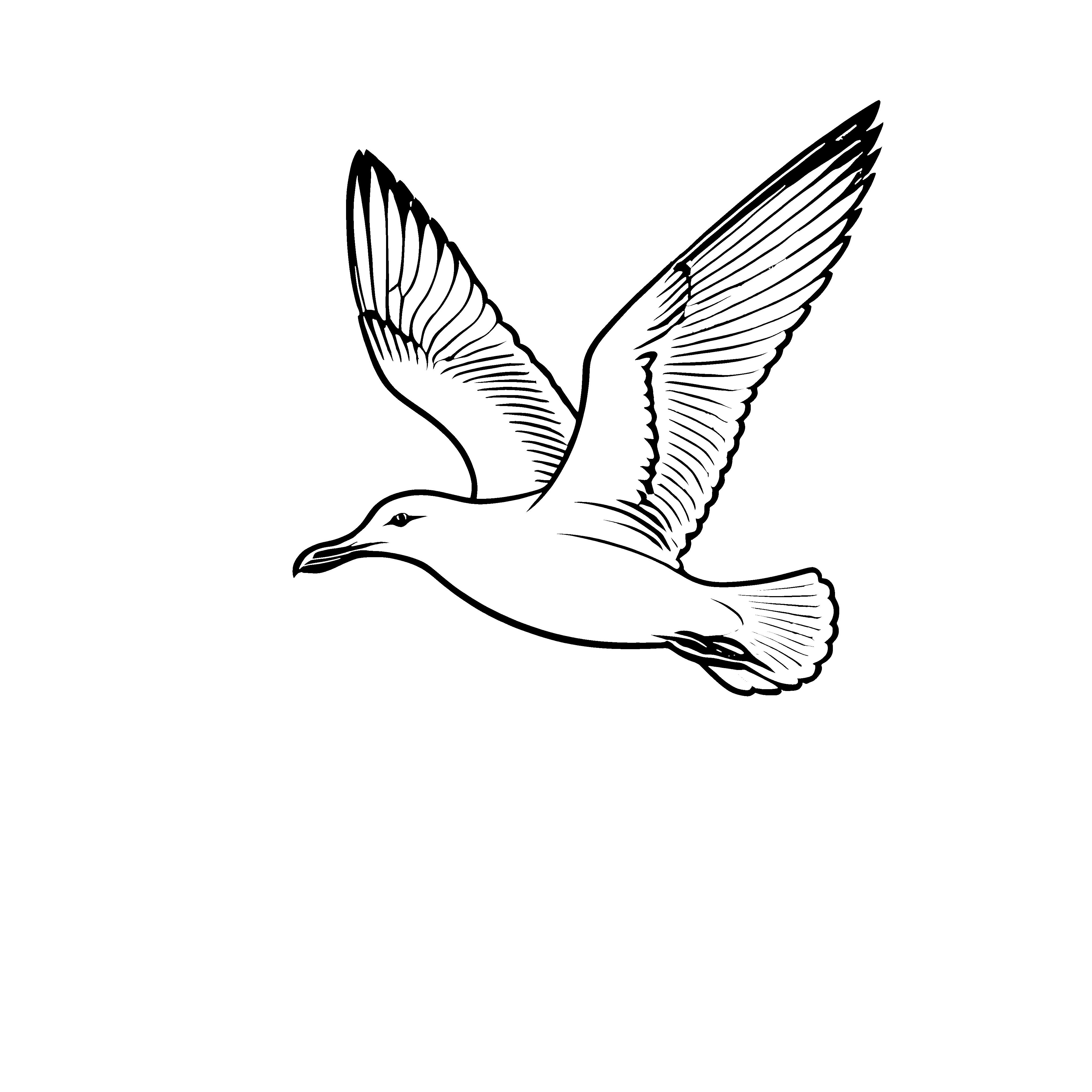 Elegante Möwe im Flug über dem Meer Ausmalvorlage für neugierige Wolkenliebhaber