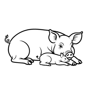 Herzliche Verbindung zwischen Hängebauchschwein und Ferkel Ausmalbild für kleine Tierliebhaber