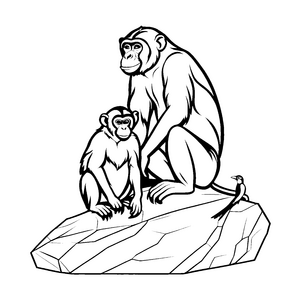 Zwei Bonobos auf einem großen Stein Ausmalbild für neugierige Tierfreunde