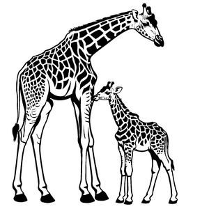 Süße Giraffe schmust mit ihrem kleinen Kalb Ausmalvorlage für neugierige Entdecker in der Tierwelt