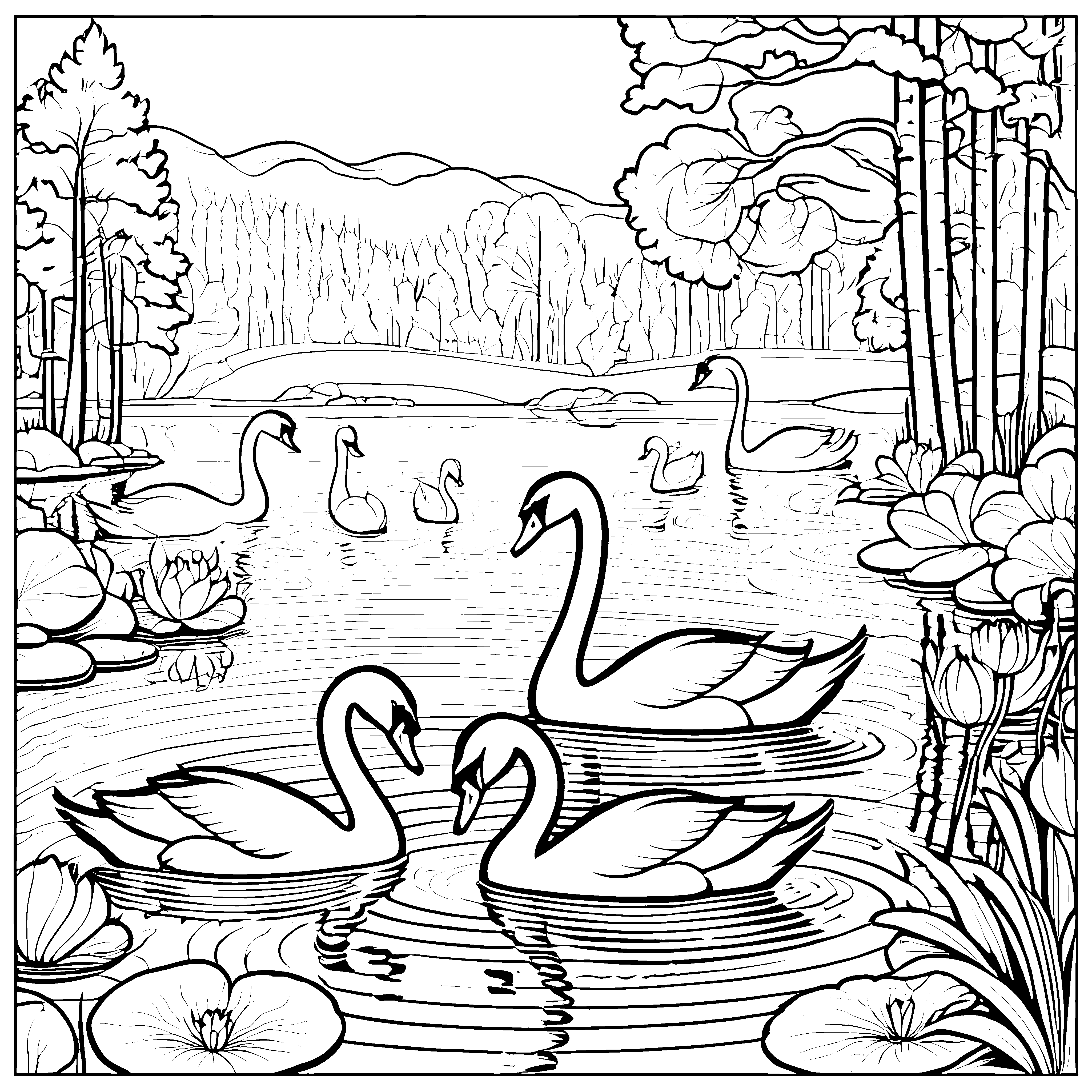 Drei elegante Schwäne im ruhigen Teich Ausmalbild für kreative Tierfreunde