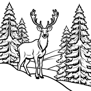 Schneebedecktes Rentier unter hohen Tannen Malvorlage für kleine Abenteurer in der Natur