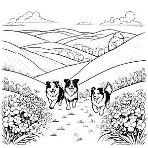 Drei lebhafte Border Collies beim Spiel im Blumenfeld Ausmalvorlage für fröhliche kleine Entdecker
