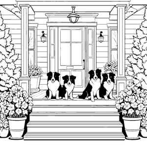 Vier entspannte Border Collies auf der Veranda Ausmalbild für geduldige Tierfreunde